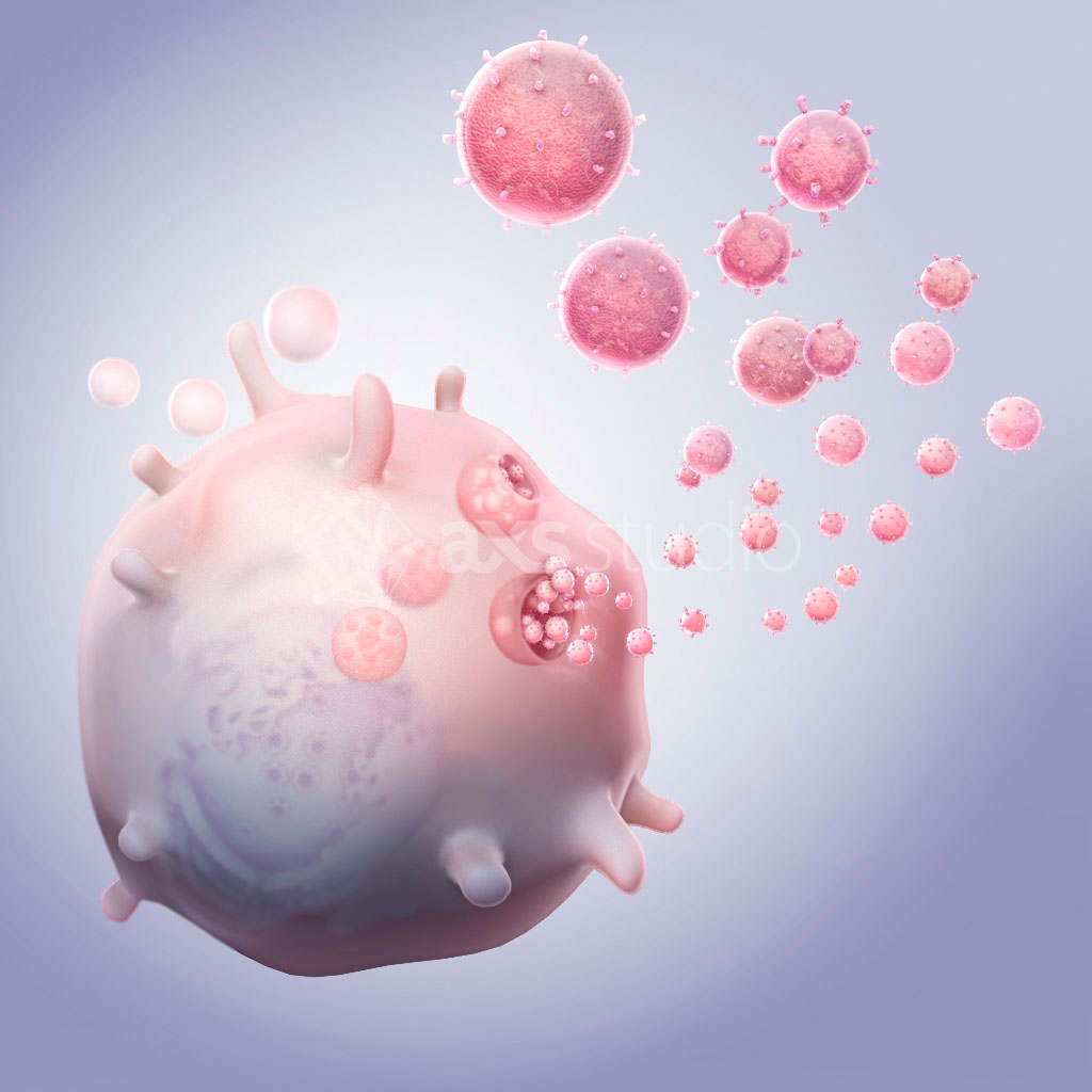 Extracellular Vesicles Lipid Bilayer Model