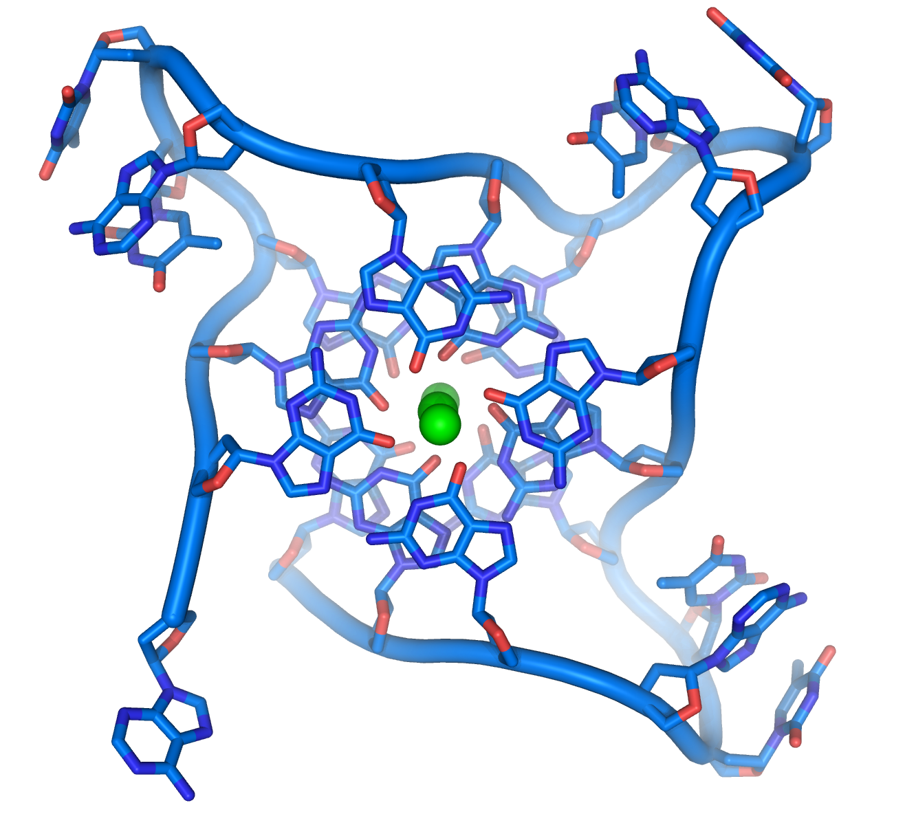 3D Molecular Model of a G-Quadruplex Structure